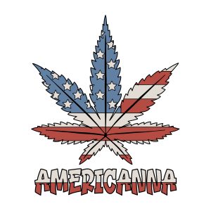 Americanna – Patriotic Flag Leaf PNG (Transparent Background)
