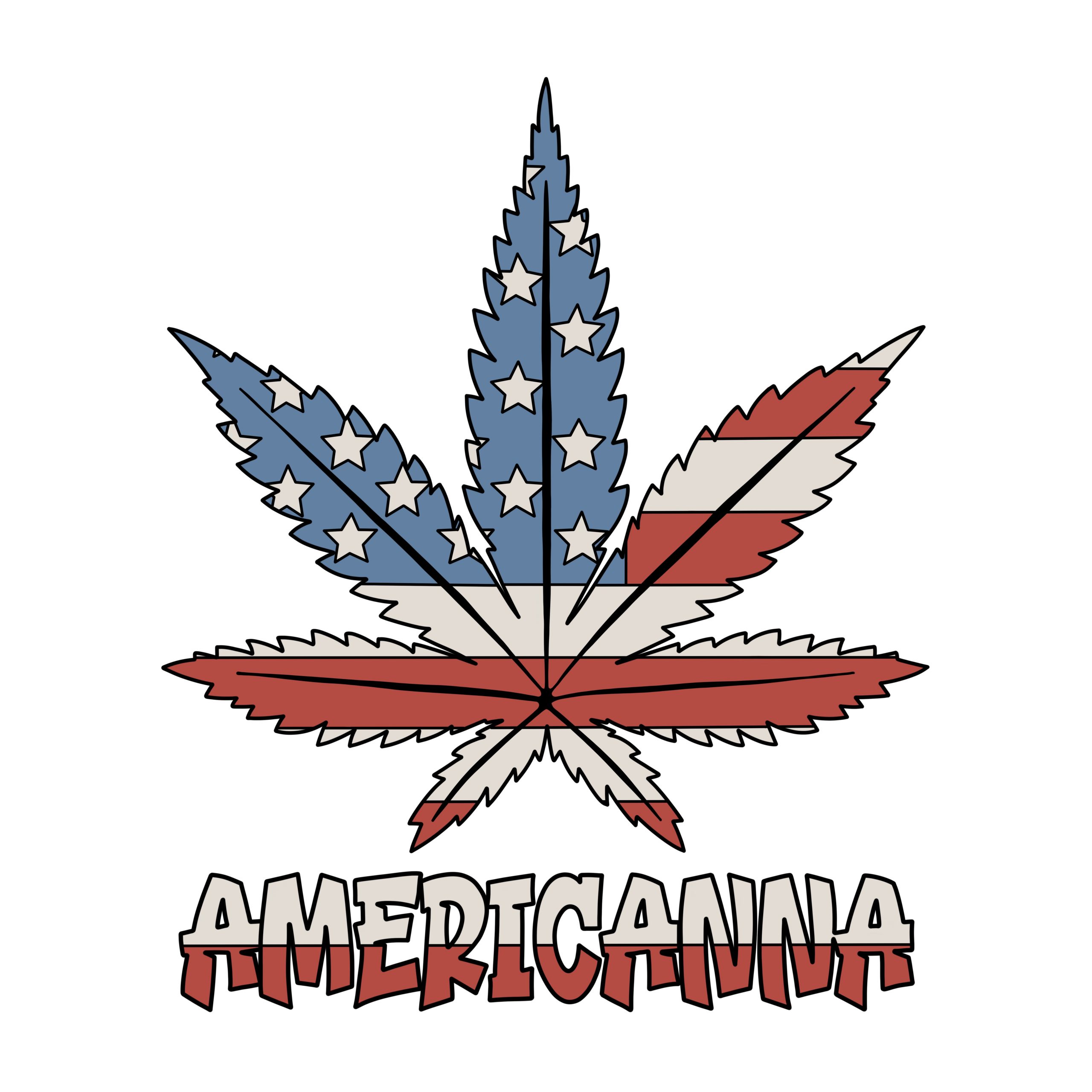 Americanna – Patriotic Flag Leaf PNG (Transparent Background)