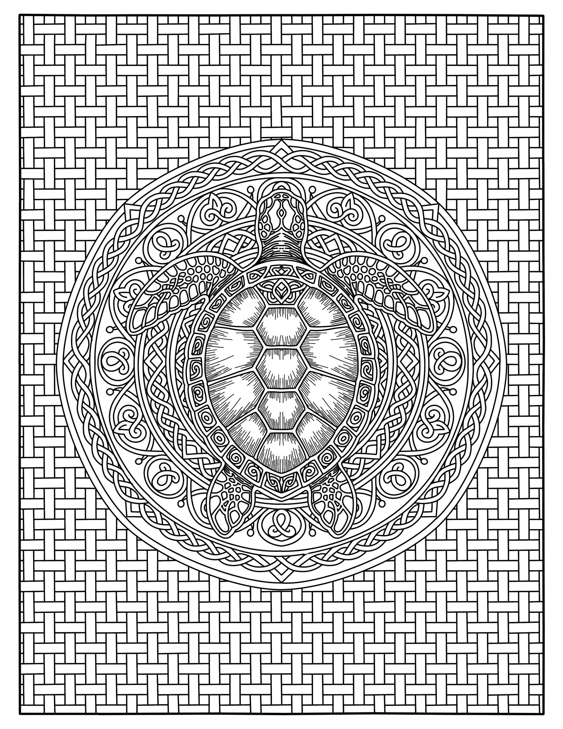 Celtic Mandala Sea Turtle Coloring Page — Printable PDF for Instant Download